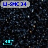 LI-SMC  34