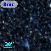 Bruck  20