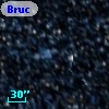Bruck  24