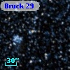 Bruck  29