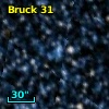 Bruck  31
