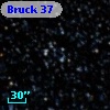 Bruck  37