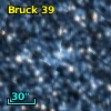 Bruck  39