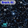 Bruck  41