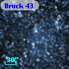 Bruck  43