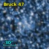 Bruck  47