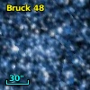 Bruck  48