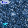Bruck  55