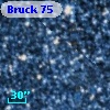 Bruck  75