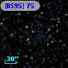[BS95]  75