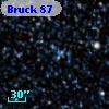 Bruck  87