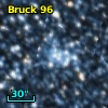 Bruck  96