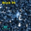 Bruck  99