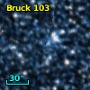 Bruck 103