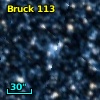Bruck 113
