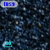 [BS95] 119