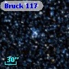 Bruck 117