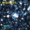 Bruck 121