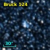 Bruck 124