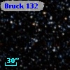 Bruck 132