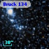 Bruck 134