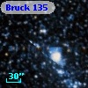 Bruck 135