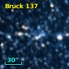 Bruck 137