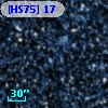 [HS75] 17