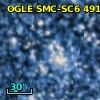 [MA93]  509