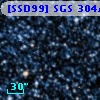 [SSD99] SGS 304A