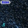 [SSH97]  42