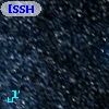 [SSH97]  48