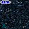 [SSH97]  49