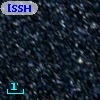 [SSH97]  57