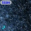 [SSH97]  79