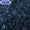 [SSH97]  96
