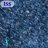 [SSH97] 194
