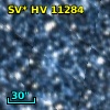 SV* HV 11284