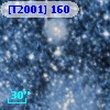 [T2001] 160