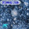 [T2001] 219