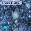 [T2001] 237