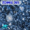 [T2001] 265