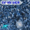 SV* HV  1429