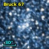 Bruck  67