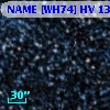 SV* HV 13010