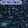 SV* HV 13013
