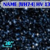 SV* HV 13019