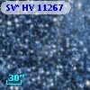 SV* HV 11267