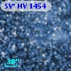 SV* HV  1454