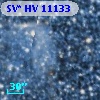SV* HV 11133